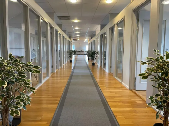 Renoveringsprojekt