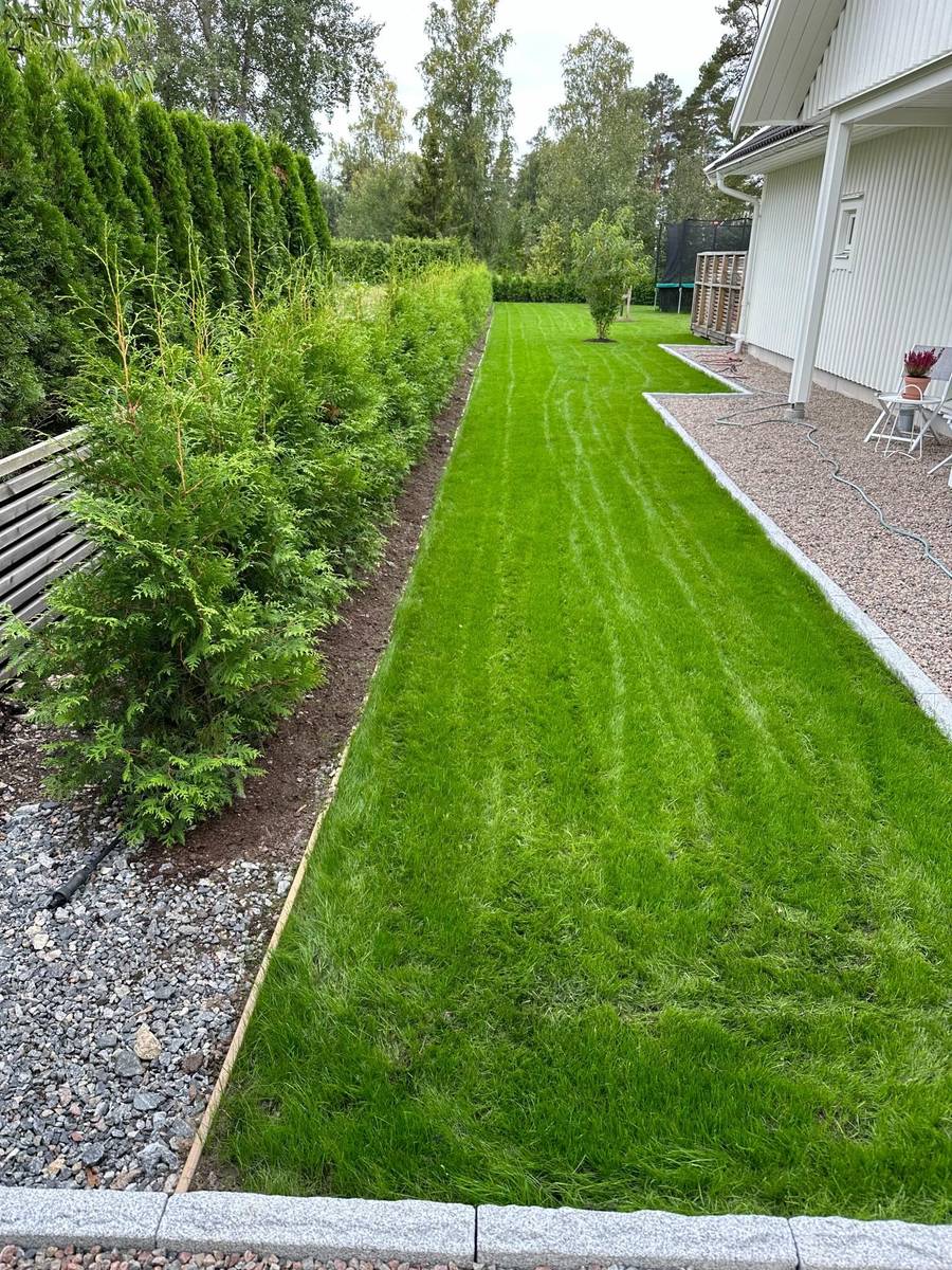 Efter trädgårdsomgestaltning – nyanlagd tomt med dekorationssten